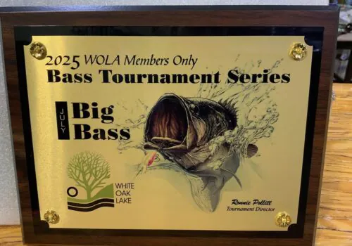 Bass Tournaments